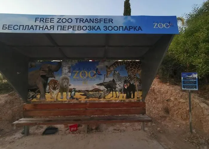 Serenity Corner * パ フォス